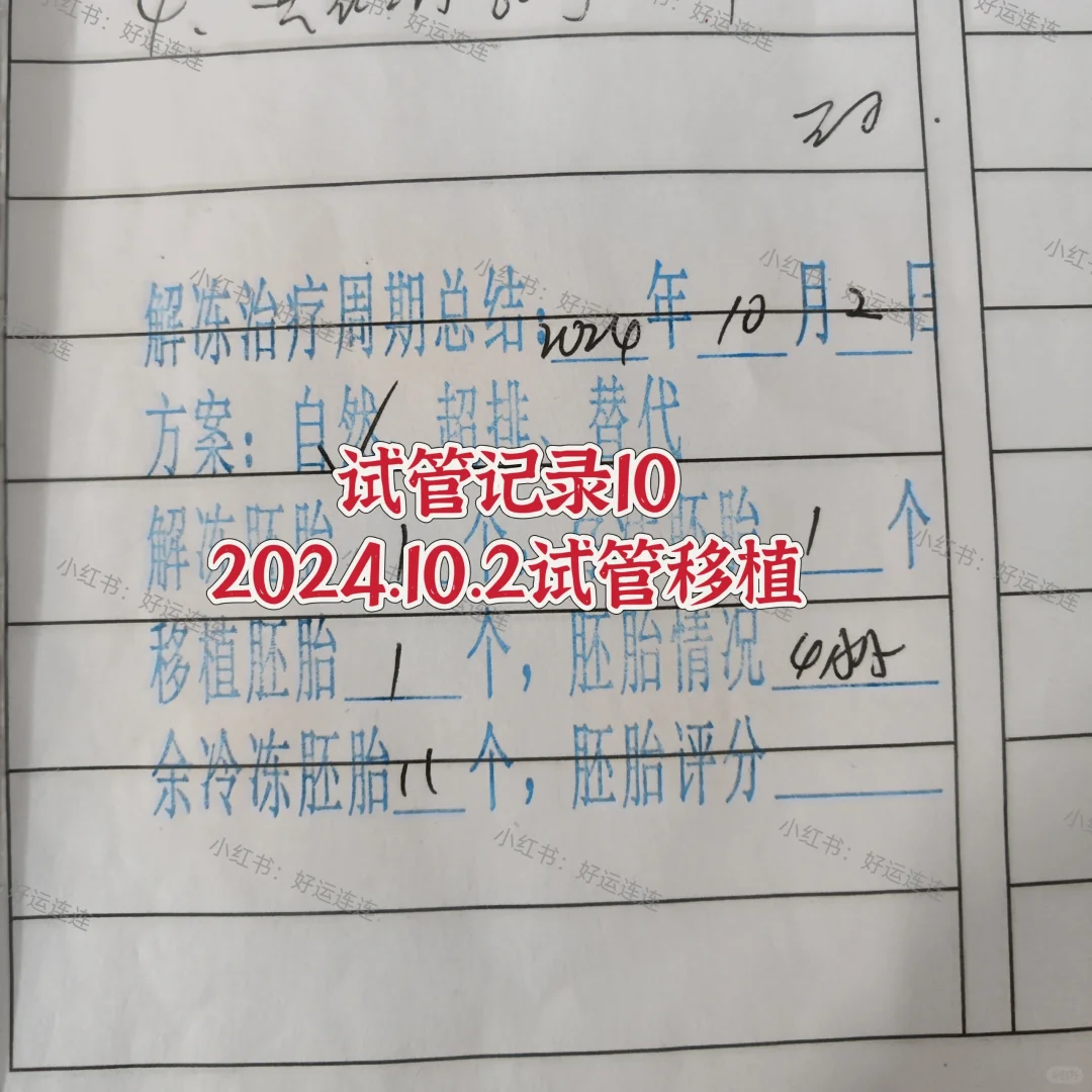 试管记录10,石女代孕能成功吗_同卵双胞胎代孕