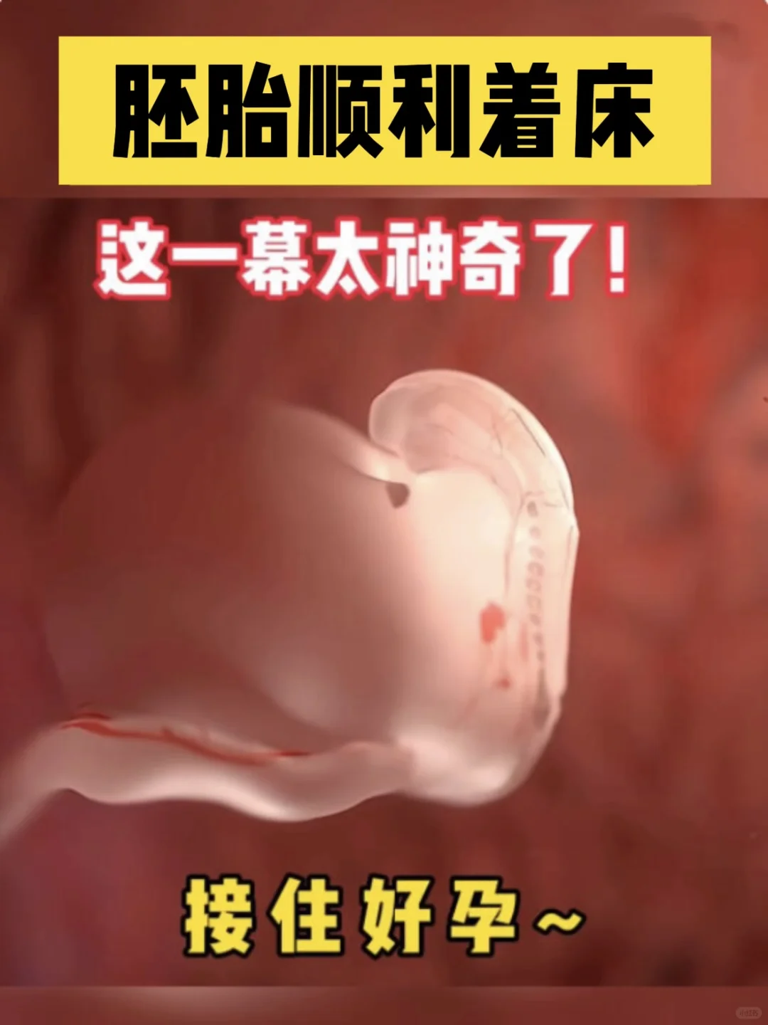 有这8个表现？恭喜你！可能要做妈妈啦🩷,试管代孕哪家医院好-正规的供卵代孕哪家好