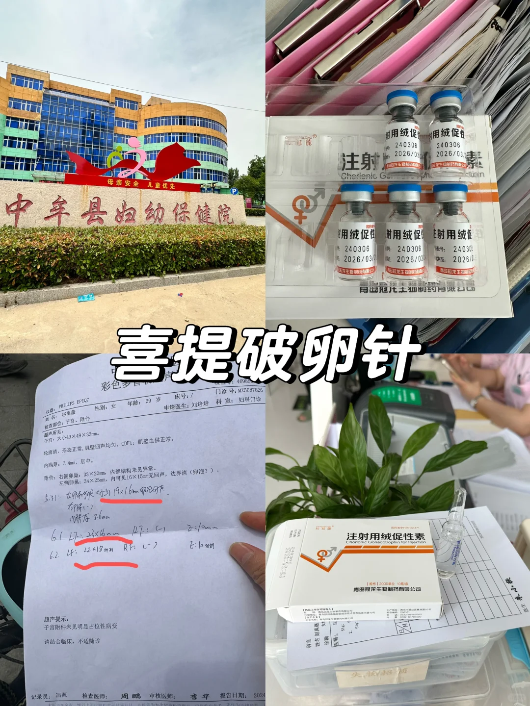 50块钱打个破卵针,代孕咨询机构服务_中国代孕电话