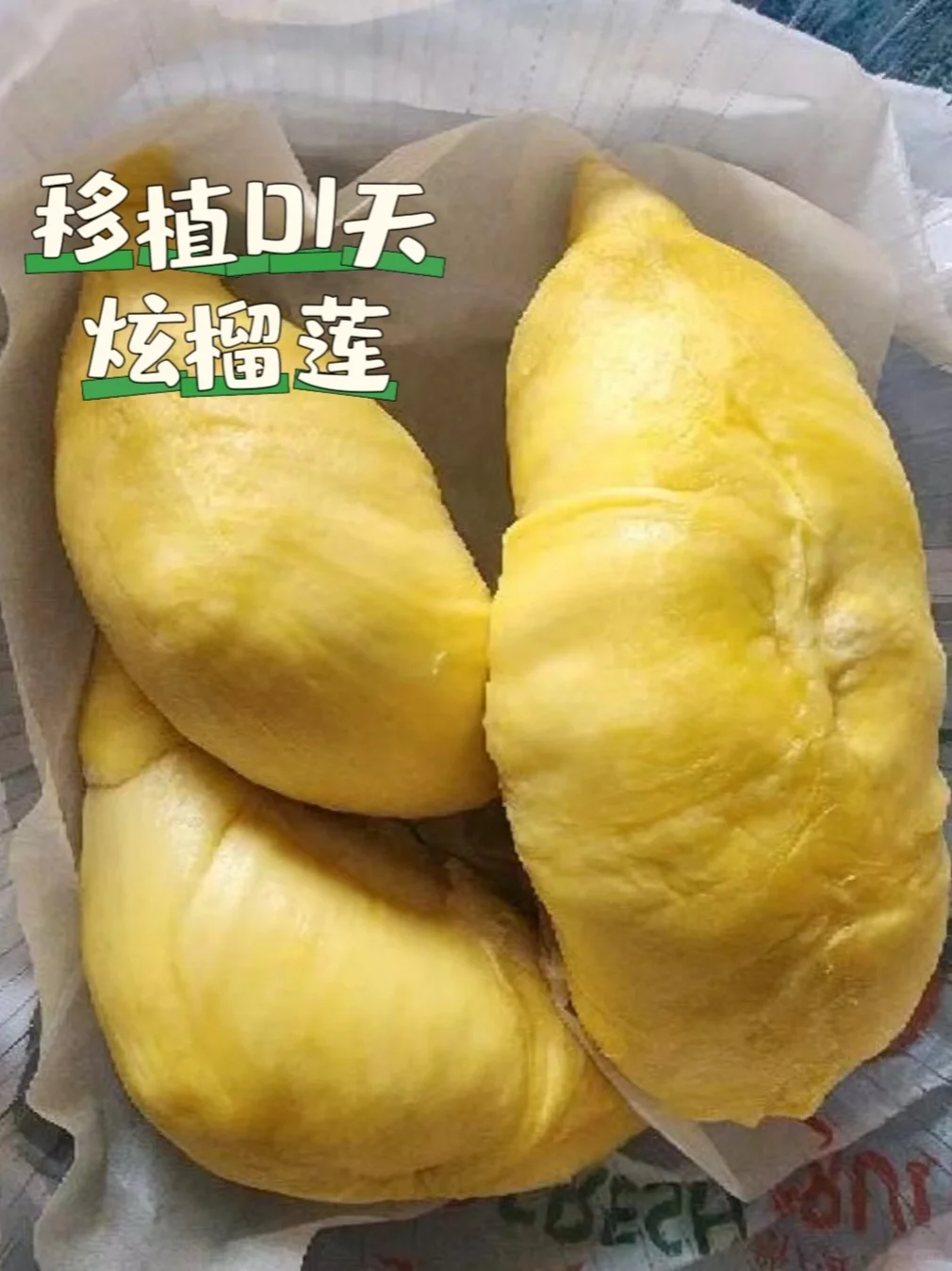 移植后第一天吃榴莲补补