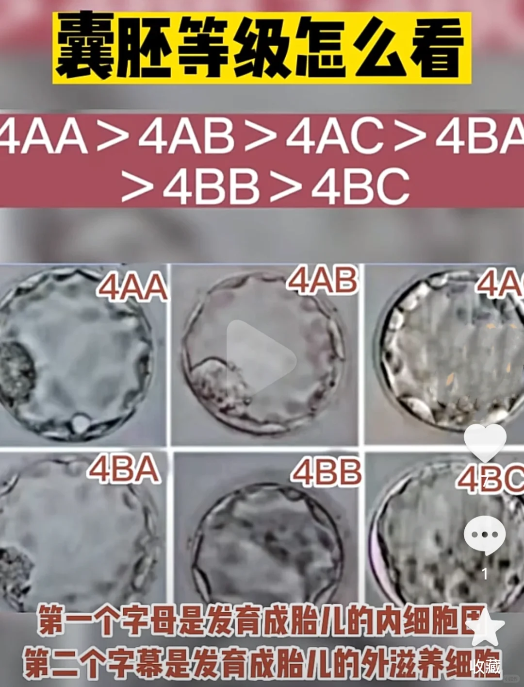 浅聊一下我理解的胚胎等级,世纪代孕包成功